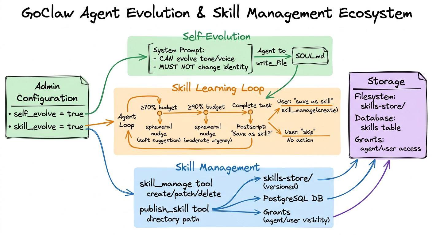 GoClaw Skill Management